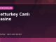 Betturkey Canlı Casino kapak görseli